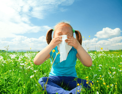 Ambrozija, alergija na ambroziju, polenska kijavica, curenje nosa, alergija na polen